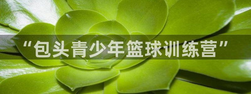 捷豹体育：“包头青少年篮球训练营”